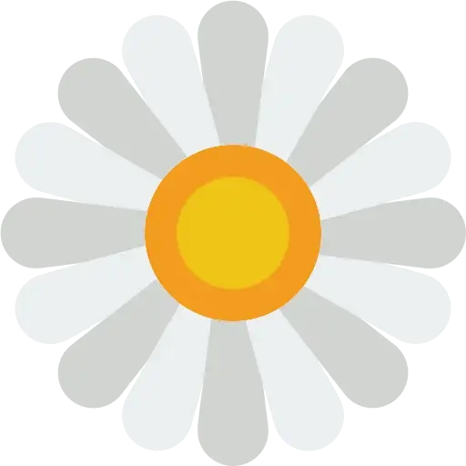 daisy